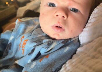 Baby Lamb welcomed home