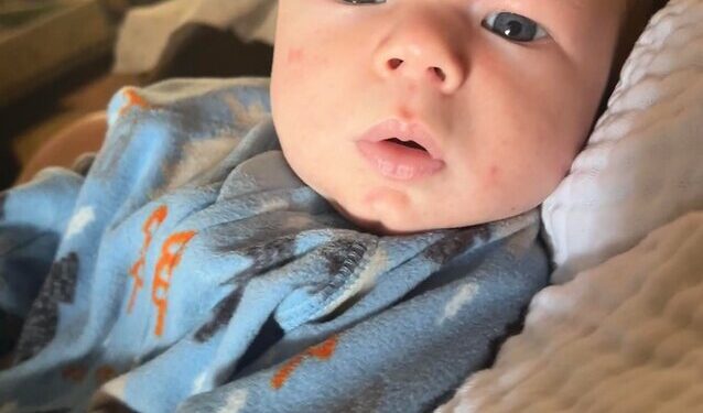 Baby Lamb welcomed home