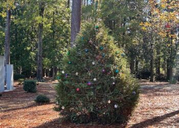 Veterans’ Christmas Tree