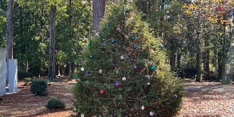 Veterans’ Christmas Tree