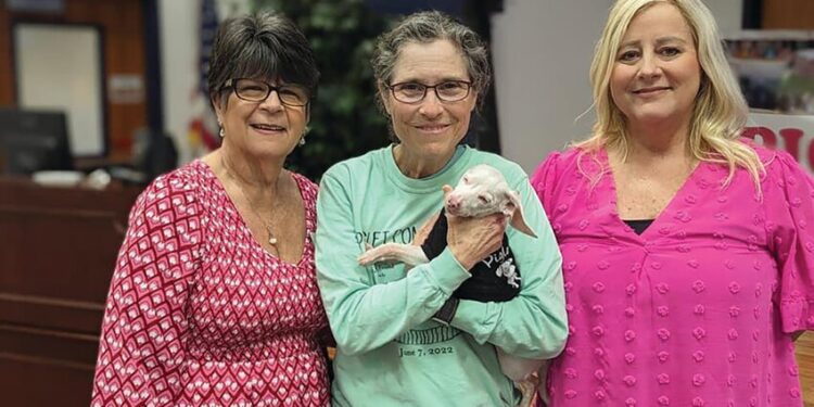 Deaf and blind Piglet visits STC’s Early Childhood Program