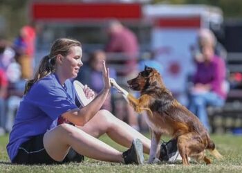 Paw-Stars to perform at Boneyard
