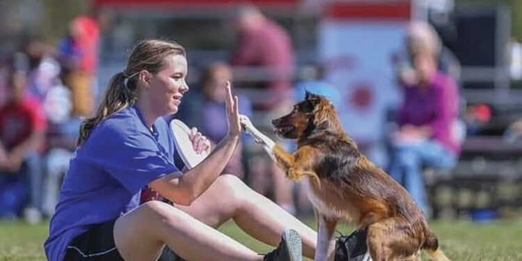 Paw-Stars to perform at Boneyard