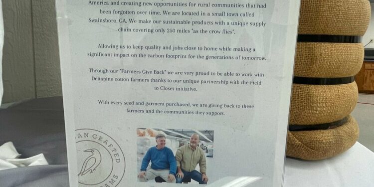 Seeds II Seams named one of five Georgia ‘Small Business ROCK STARS’