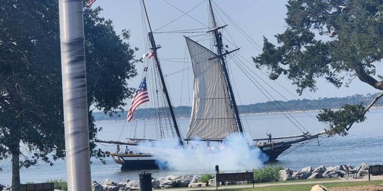 Skunk Brigade attend Frederica Naval Action