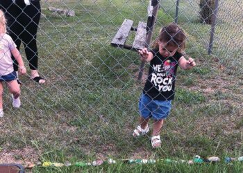 Hermie, the caterpillar