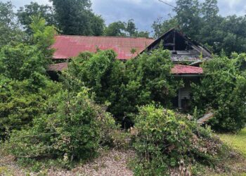 Mayor asks city council to pass affordable housing plan