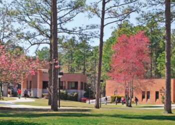 East Georgia State College chosen for Student Success Equity Intensive Program Cohort