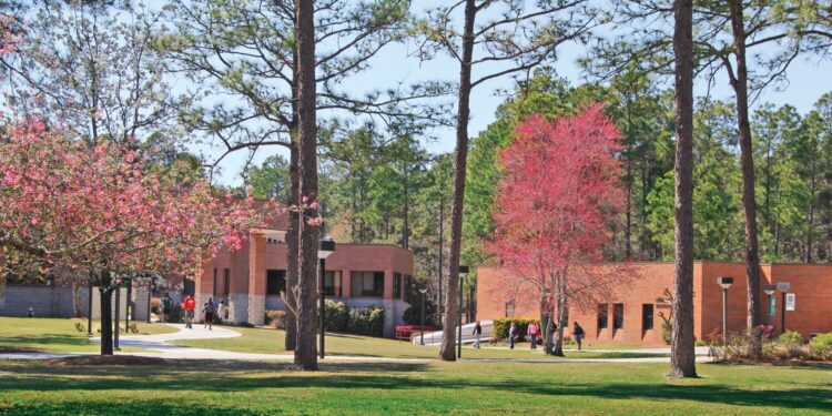 East Georgia State College chosen for Student Success Equity Intensive Program Cohort