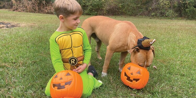 Happy Halloween!