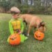 Happy Halloween!