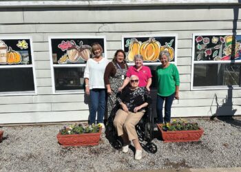 Seedling Garden Club plants Pansies