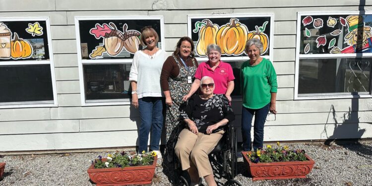 Seedling Garden Club plants Pansies