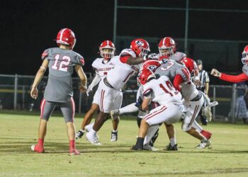 Bulldogs win against Gamecocks and secure playoff spot