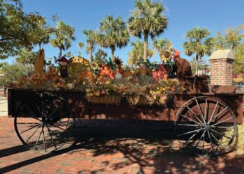 Swainsboro's Annual Fall Festival: A Spooktacular Success!