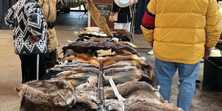 Brier Creek Artillery participates in the 250th event at Cohens Bluff