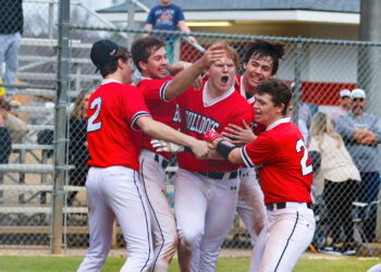 Just a friendly afternoon of baseball between friends