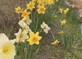 Are you ready for Spring?