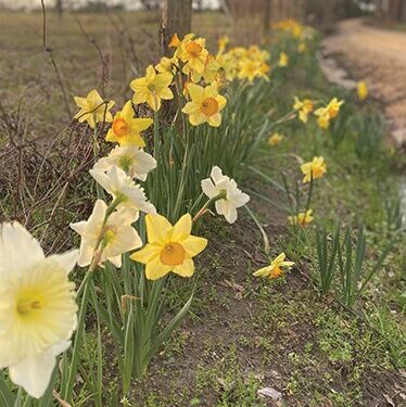 Are you ready for Spring?