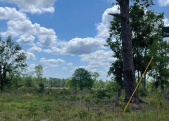 The City of Swainsboro receives $2,500,000 Rural Workforce Housing Grant from the OneGeorgia Authority