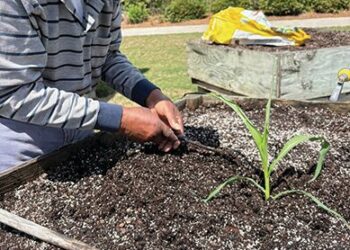 Emanuel County Nursing Home: Meet Mr. Smith