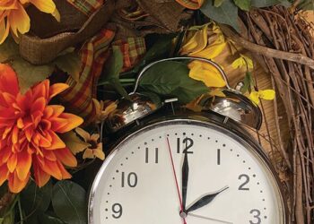 Fall Back